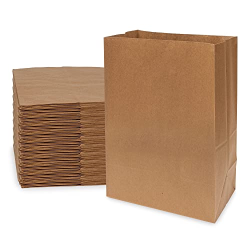 Prime Line Packaging Brown Paper Lunch Bags, Paper Sack for Grocery, Shopping, Delivery, Goodie, Take Out, Bakery, Bulk, 1/8 BBL, 10x6x14 100 Pack