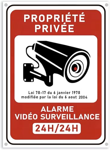 Lot de 2 18x13 cm Panneau Avertissement Surveillance Vidéo 
