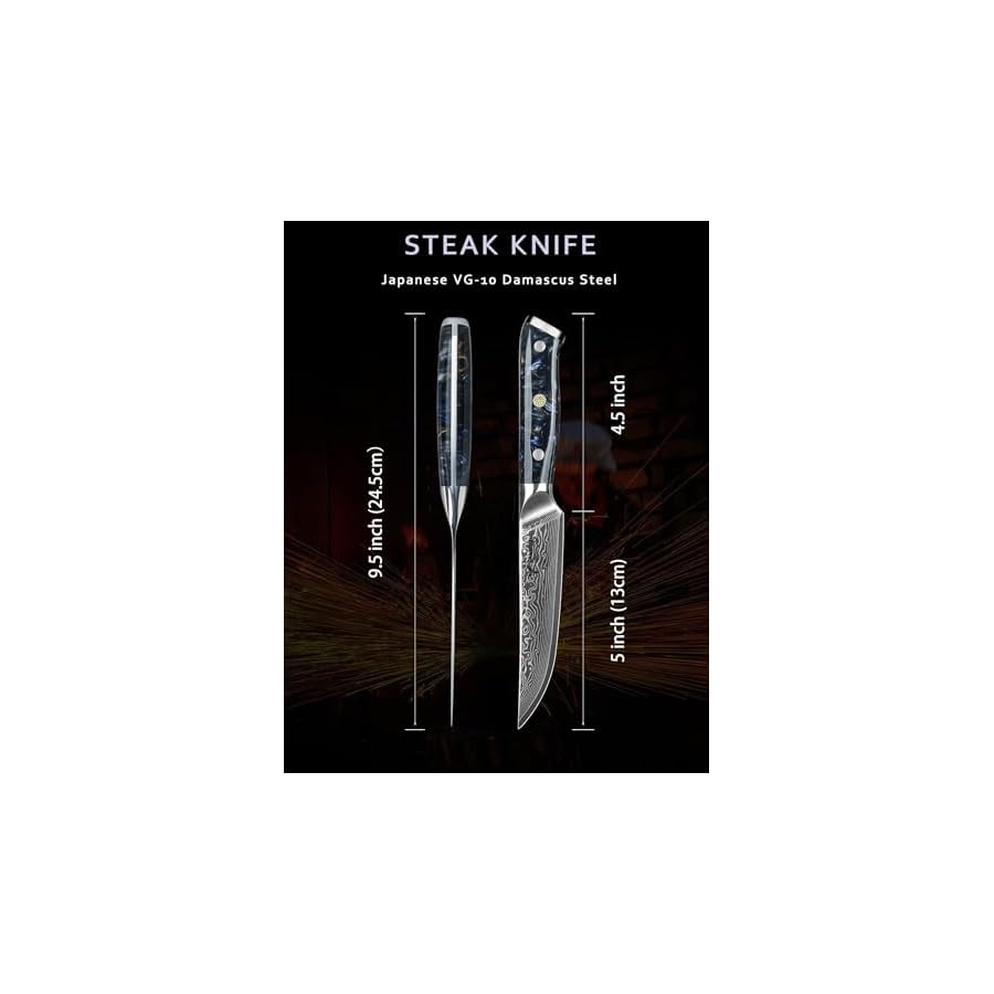 Steak-Knives-Set-of-4-Ultra-Sharp-Non-Serrated-Kitchen-Steak-Knife-5-Inch-Damascus-Steel-Resin-Handle-Xuan-Series-Starry-Black Steak Knives Set of 4, Ultra Sharp Non Serrated Kitchen Steak Knife 5 Inch - Damascus Steel & Resin Handle - Xuan Series (Starry Black)
