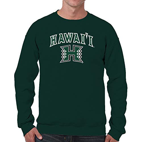 Image of NCAA College Sweatshirt Fleece Crewneck Pullover for Men and Women | Officially licensed NCAA college gameday crewneck pullover - 9 oz fleece lined sweatshirt with arch and logo design