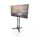 Kanto MTM55 Mobile TV Stand with Mount for 32 to 55 inch Flat Panel Screens - Black