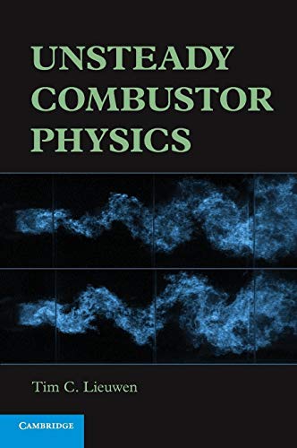 Unsteady Combustor Physics view 2