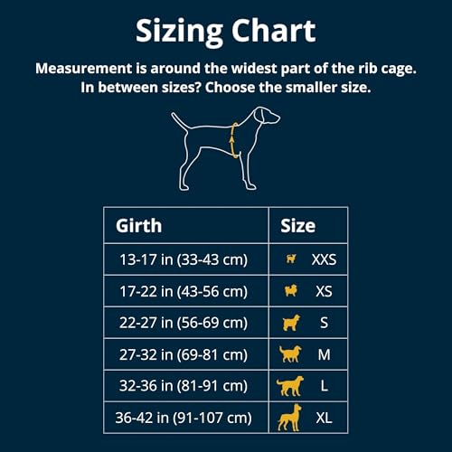 Ruffwear Swamp Cooler(TM) Zip Vest |05451-421| Kühlmantel für Hunde, Farbe:Aurora Teal, Größe:XXS