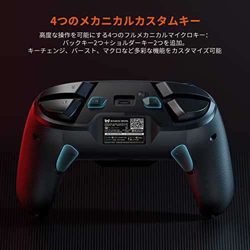 undefined Nintendo Switch 2 Proコントローラー BIGBIG WON BLITZ Switch コントローラー Bluetooth無線/有線接続 背面ボタン付き マクロ機能 6軸ジャイロセンサー搭載 3階段TURBO速度 4階段HD振動 NFC機能 本体スリープ解除 Switch 1/2/Windows/Android/IOSに対応 日本語取扱説明書付き(充電台付き) の商品画像 7