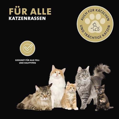 Peticare Anti-Parasiten Katzen-Shampoo | gegen Milben Flöhe Pilze | lindert effektiv Juckreiz & unterstützt Regenerationsprozess | einzigartiges PRS® System für Lange Wirkung – petCat Health 3104
