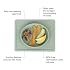 ezpz Tiny Plate (Sage) - 6 Months+ 100% Silicone Suction Placemat + Plate for Infants - Fits on Most Highchair Trays - Baby Led Weaning Supplies