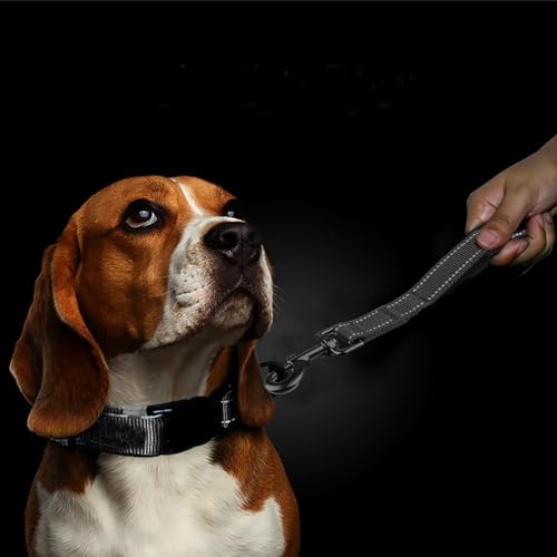Kurzführer Hund, Kurzleine Hund, Hausleine für Hunde 30 cm Langes, Kurzes Trainingsseil Mit Bequem Gepolstertem Griff Drehhaken aus Metall für Mittlere Große Hunde, Schwarzes
