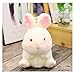 MTWERS Hamster Panda Conejo Cerdo Bola de Bola de Peluche Juguetes Redondos Grande Suave Suave muñeca muñeca delfín pequeño tamaño Juguete para niños niños Regalo 18 cm LingGe