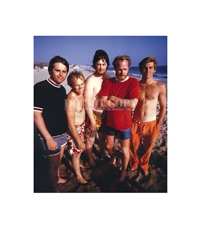 Fotografía de The Beach Boys de 11 x 13 pulgadas, retrato de la banda de música de 1967