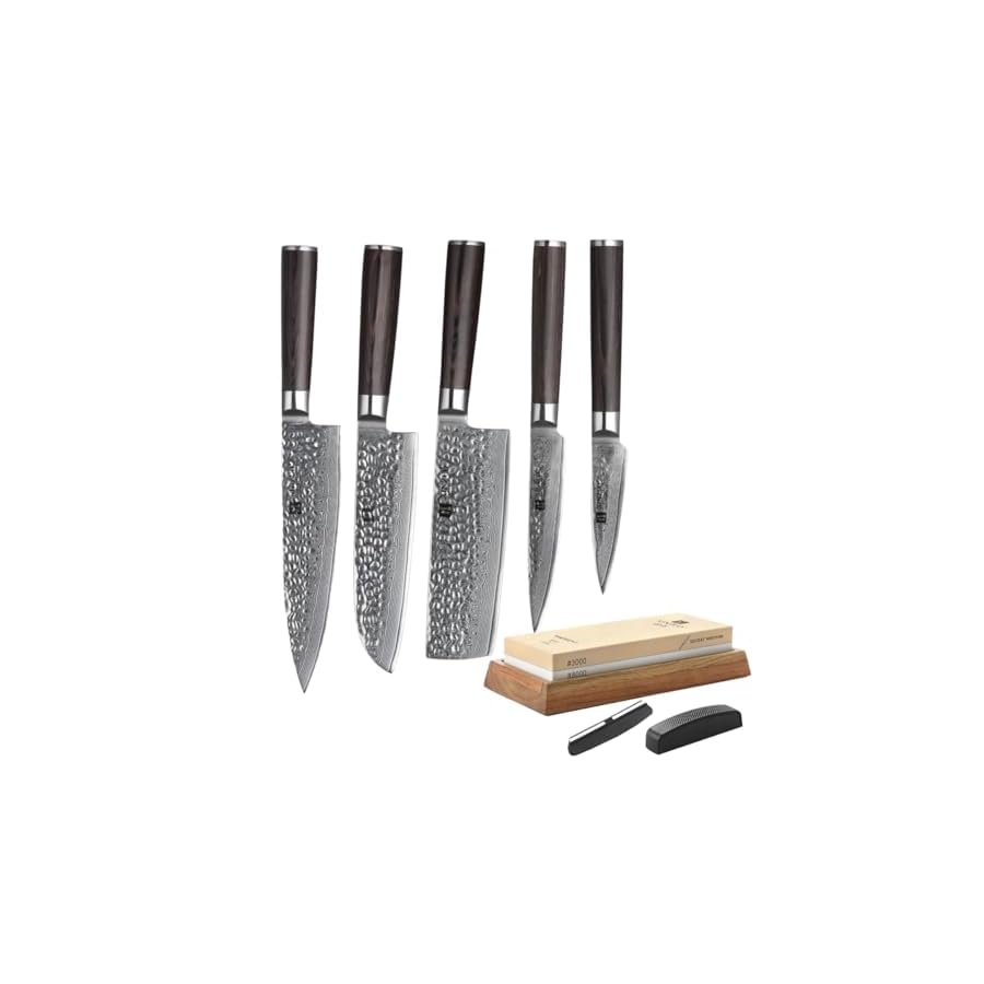 XINZUO 5-piece Damuscus Kitchen Knife Set with Extra Large Whetstone,67 Layer Hand Forged Damascus Hammered Steel Professional Chef Knife Set with Sharpening Stone-Dual Grit