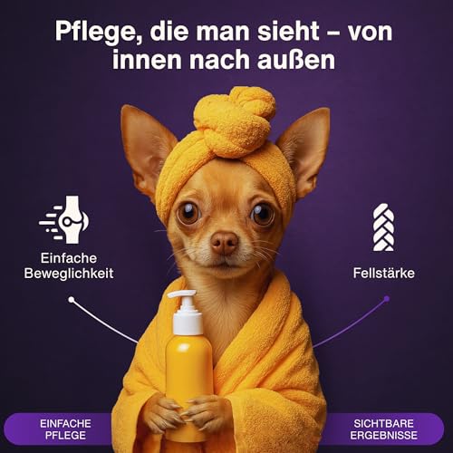 Dr. Flex Kollagen B‑Komplex Pulver für Hunde, Hochdosiert für Gelenke, Knorpel, Muskeln Vitalität mit Rinder Meereskollagen, Glucosamin, Hyaluronsäure essenziellen Vitaminen