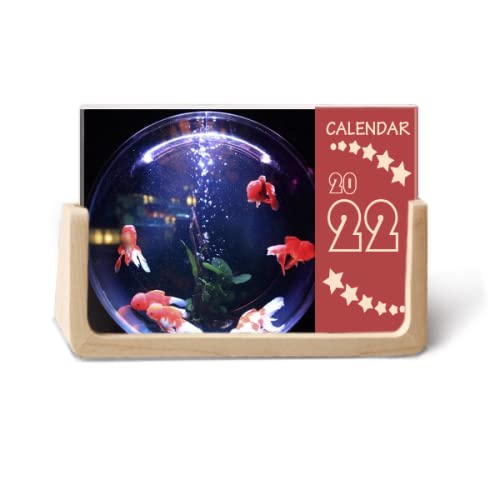 Calendrier de bureau 2022 poissons colorés pour ne plus oublier aucun rendez-vous
