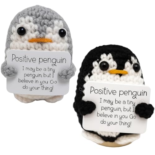 2 Stück Niedliche Pinguin Kuscheltiere als Mutmacher, Positive Penguin Geschenkset, Positive Geschenke, Glücksbringer und Sorgenfresser, Ideal als Ermutigungsgeschenk für Freunde und Familie