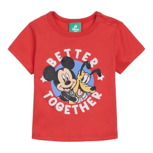 Image of Disney T-Shirt and French Terry Shorts Outfit Set Newborn to Little Kid Sizes (Newborn - 5)