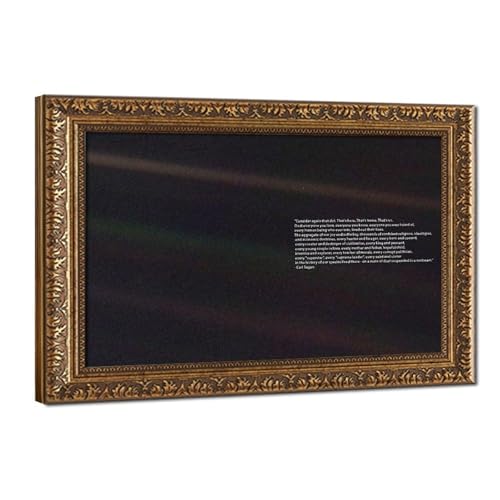 Impression toile Carl Sagan pale blue dot pour sublimer la déco de votre bureau