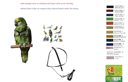 Arnés para loros medicanos elástico negro para amazonas y correa de un metro 4