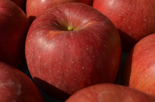 쌧Y Y_ƒ u̍v㋉NiGj  6`11 2.7`3/ 11{甭Jn\