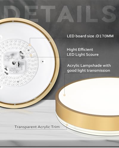 Image of Ken & Ricky 12 inch Modern Flush Mount Ceiling Light,Brush Gold,1 Pack