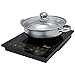 Rosewill 1800 Watt 5 Pre-Programmed Settings Induction Cooker Cooktop, Included 10” 3.5 Qt 18-8 Stainless Steel Pot, Gold, RHAI-16002