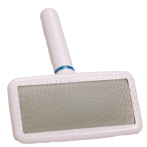 Best Brush for Pomeranian and Pomeranian Grooming Tools