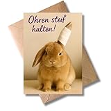 WBdesignz Genesungskarte „Ohren steif halten!“ mit Umschlag - mit Kaninchen-Motiv - Witzige Gute Besserung Grußkarte zur Genesung, lustige Aufmunterung - für Freunde, Kollegen & Familie (DIN A6)