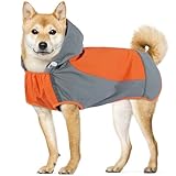 IECOii Large Dog...image