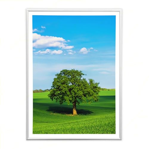 Sicignano | Cornice Bombata Moderna 50x70 cm in Legno Bianco con Pannello MDF Robusto Vetro Crilex - Portafoto da Parete Orizzontale Verticale, per Foto Quadri Poster Documenti Diploma Laurea