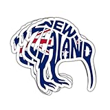 3Pcs New Zealand Sticker Funny Kiwi Bird Flag Design Gift for Women Friends Coworkers Gift for Tourists Travelers NZ Lovers New Zealand Stickers Decal for Laptop Water Bottle Phone Case Cars 3"