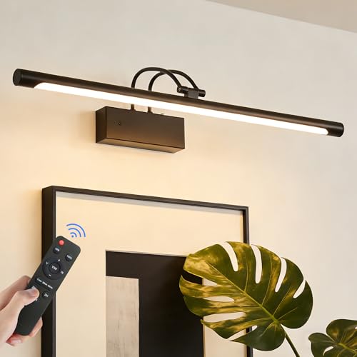 Actask Lampada fotografica senza fili con telecomando, 60 cm, illuminazione