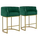 Bonnlo 2-Pack Bar Height 27