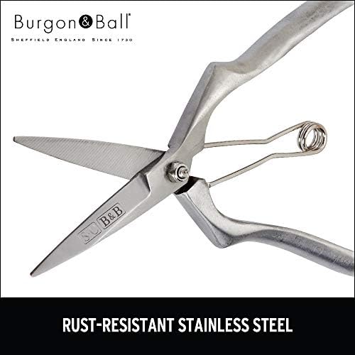 Burgon & Ball GSC/PRESEC Sophie Conran Hand Pruners, Silver