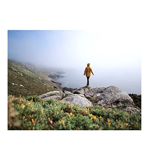 Image of OM SYSTEM OM-5 Mirrorless Camera, Black