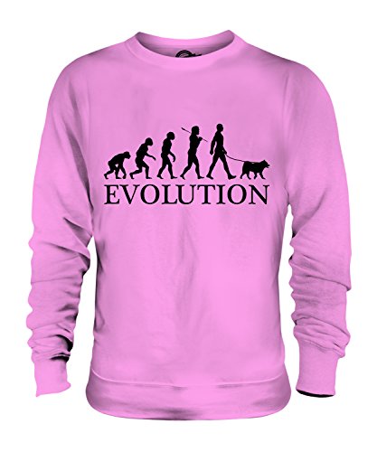 Chien De Canaan Évolution Unisexe Sweat-Shirt pour afficher votre amour canin