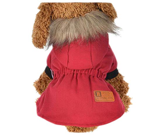 Maiitmor g n OJybg H~ R[g  p p[J[WPbghbOEFA t[ht  h g m h h h ۉ xXg ֗ y U o| єh~ (S, bh)