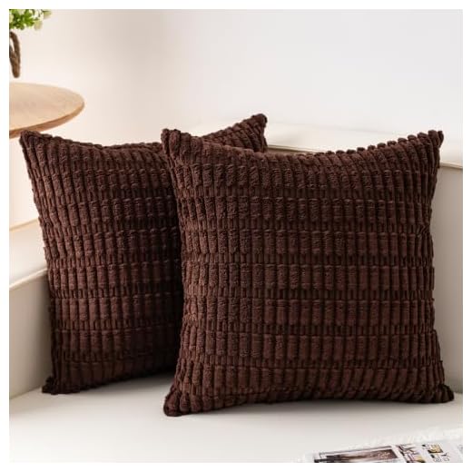 Aegero Pack of 2 Corduroy Decorative Throw Pillow Covers 18x18 InchSoft Boho Striped Pillow Covers Modern Farmhouse Home Decor for Sofa Living Room Couch Bed（Dark Brown）
