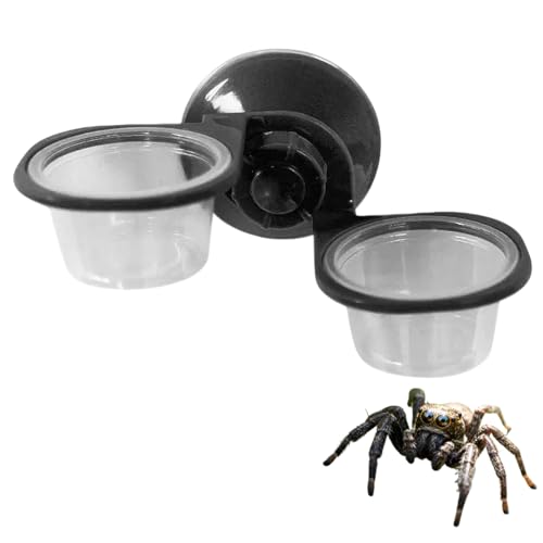 w偗pAw偗paMA2 in 1 ubN݂艺tB[_[iw偁E^`EJ}LE㐫pj