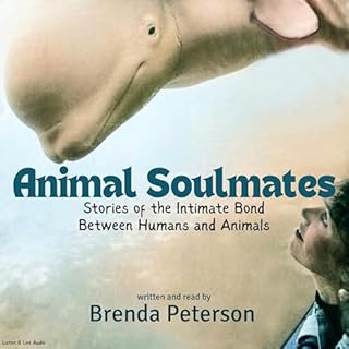 Animal Soulmates cover art