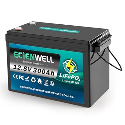 12V 300Ah Lithium LiFePO4 Battery, 15000+ Deep Cycle Battery with 100A BMS, 3840Wh Lithium Batteries Waterproof with Low Temp Cut off for RV, Marine, Trolling Motor, Solar