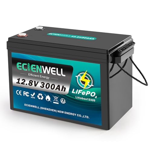 12V 300Ah Lithium LiFePO4 Battery, 15000+ Deep Cycle Battery with 100A BMS, 3840Wh Lithium Batteries Waterproof with Low Temp Cut off for RV, Marine, Trolling Motor, Solar