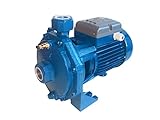  FORAS KB100 Kreiselpumpe, hohe Förderhöhe mit gutem Förderstrom für Haushalts- und Industrieanlagen, made in Italy, Dauerbetrieb, 230V, 0.74 kW, 80 L/min, 42 m