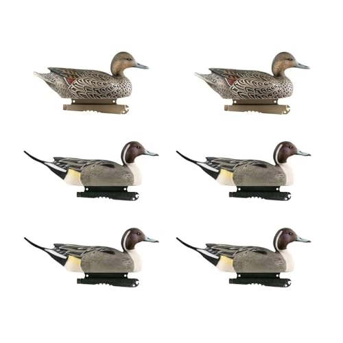 Avery GHG Hunter Series Life Size Pintail Waterfowl Floating Hunting Decoys (6-Pack) | Ultra-Realistic Carvings and Paint Schemes | 60/40 Dura-Keel Design | 4 Drakes, 2 Hens - 73033