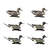 Greenhead Gear Life-Size Duck Decoy,Pintails,1/2 Dozen