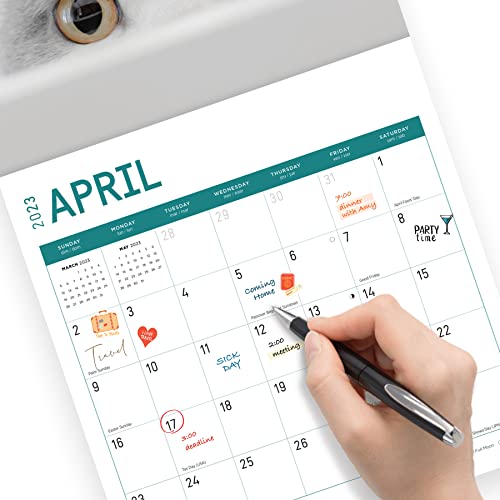 2023 Cats Monthly Sticker Wall Calendar By Bright Day, 12 X 12 Inch, Cute Adorable Pet Photography #TOP5