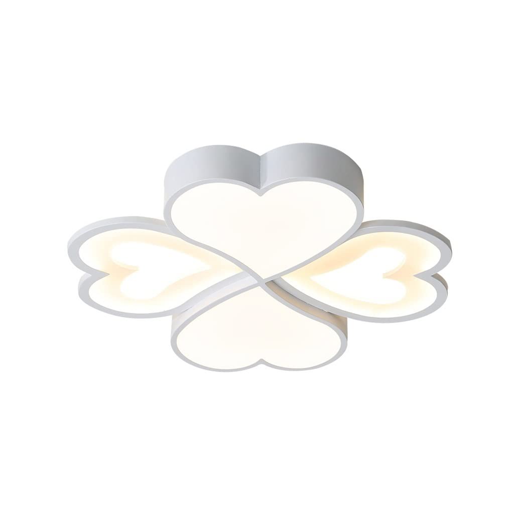 HynJGih Ceiling Lamp Modern Minimalist Style Bedroom Restaurant Round Creative Dimming Light(Stepless dimming,42cm)