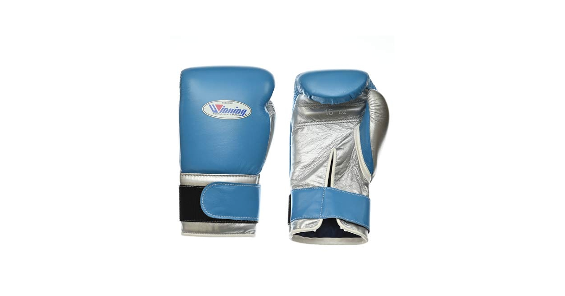 Amazon.com : Winning Training Boxing Gloves 16oz (Red