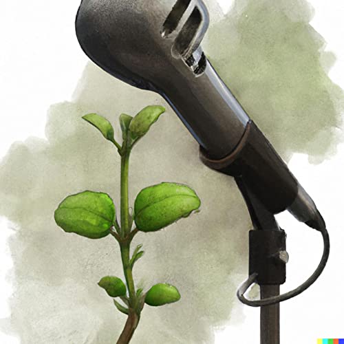 Early Stage Podcast Marketing cover art