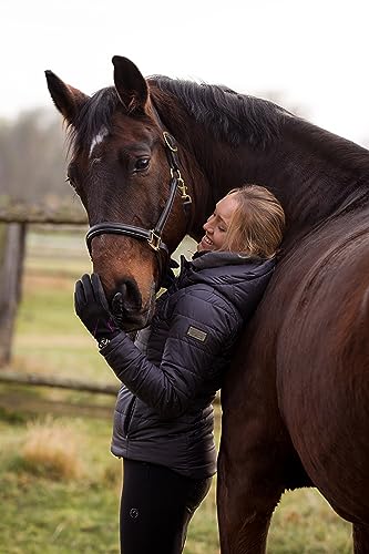 Roeckl - Winter Windstopper Softshell Gloves