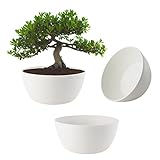 ECOMACETAS FLOWERPOT STORE