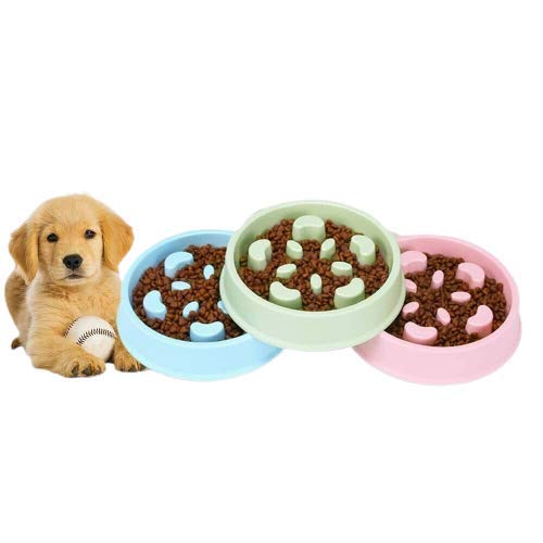 Pets Empire Slow Feeder Dog Bowl Fun Feeder No Chocking Slow Feeder Bloat Stop Dog Cat Food Water Bowl with Funny Pattern -500 ML (Blue) (B08NPSVYF8) Amazon Price History, Amazon Price Tracker