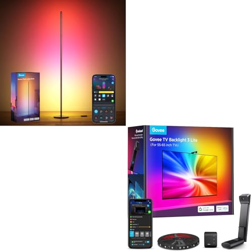 TV Backlight 3 Lite Govee RGBIC Lampadaire LED avec Rétroéclairage Immersif